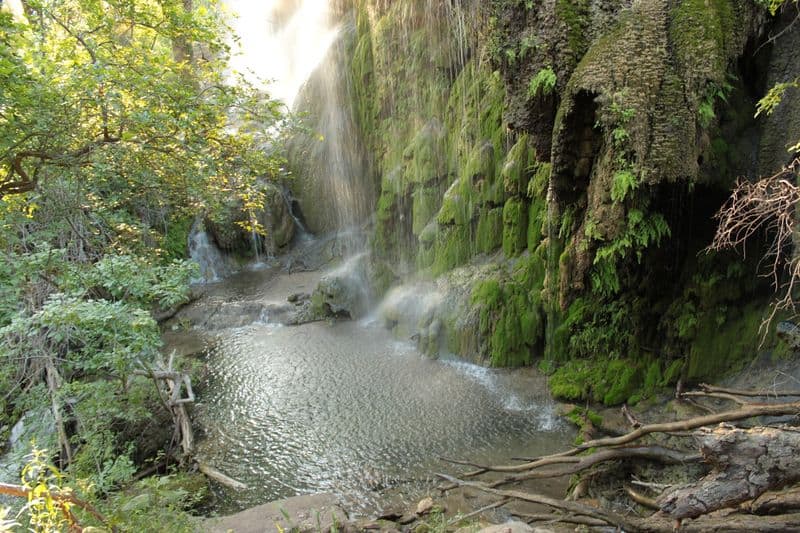 The March Sweet Spot at Gorman Falls