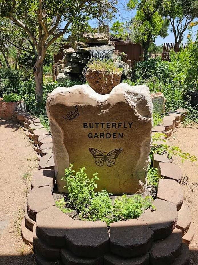 Butterfly Garden Experience