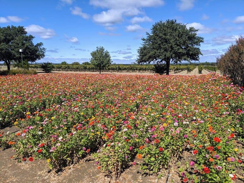 Trails, Seating, and Accessibility