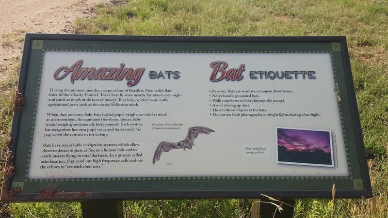 This Texas Hike Leads Through a Tunnel So Dark You Can’t See a Thing History In The Brickwork