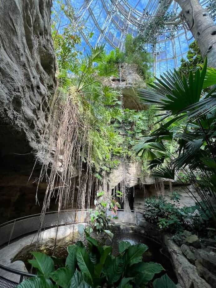 Cockrell Butterfly Center