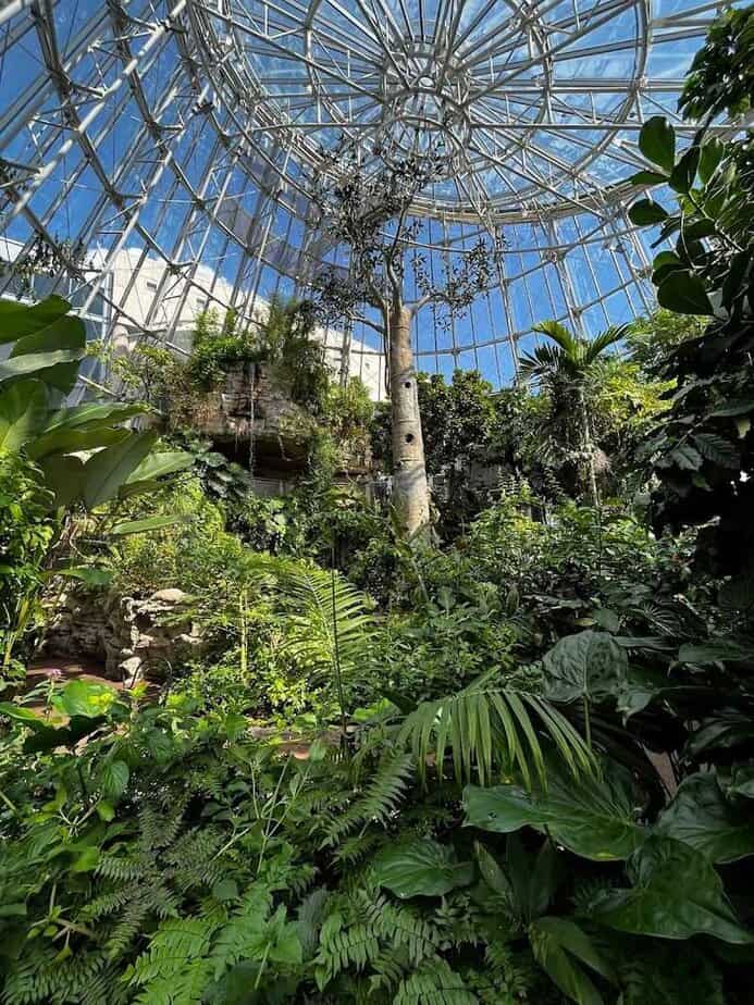 Visiting Logistics: Hours, Parking, and Neighborhood Walks