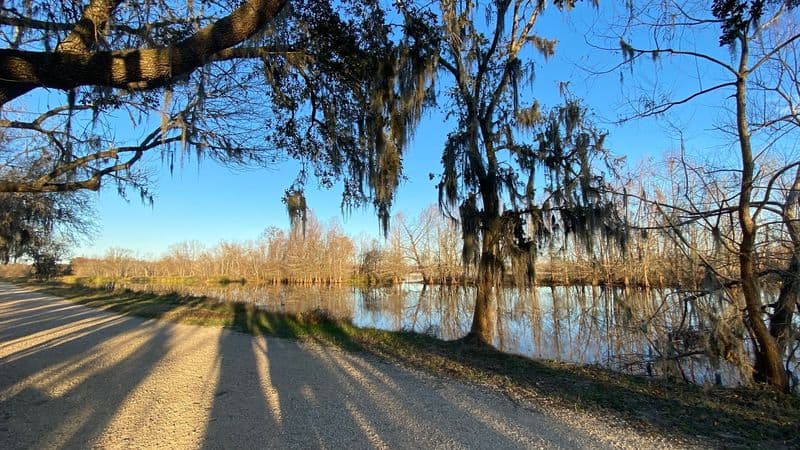 Seasons and Weather: Plan Like a Local