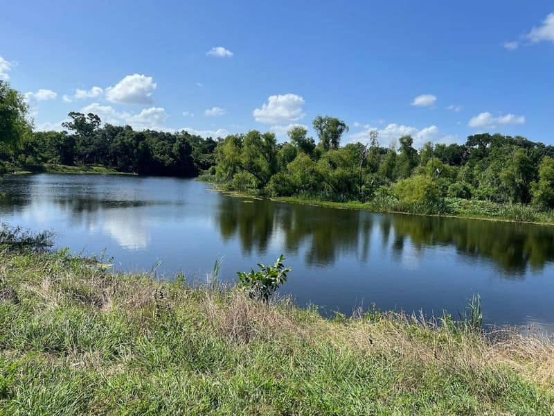 Family Day Plan With Kids