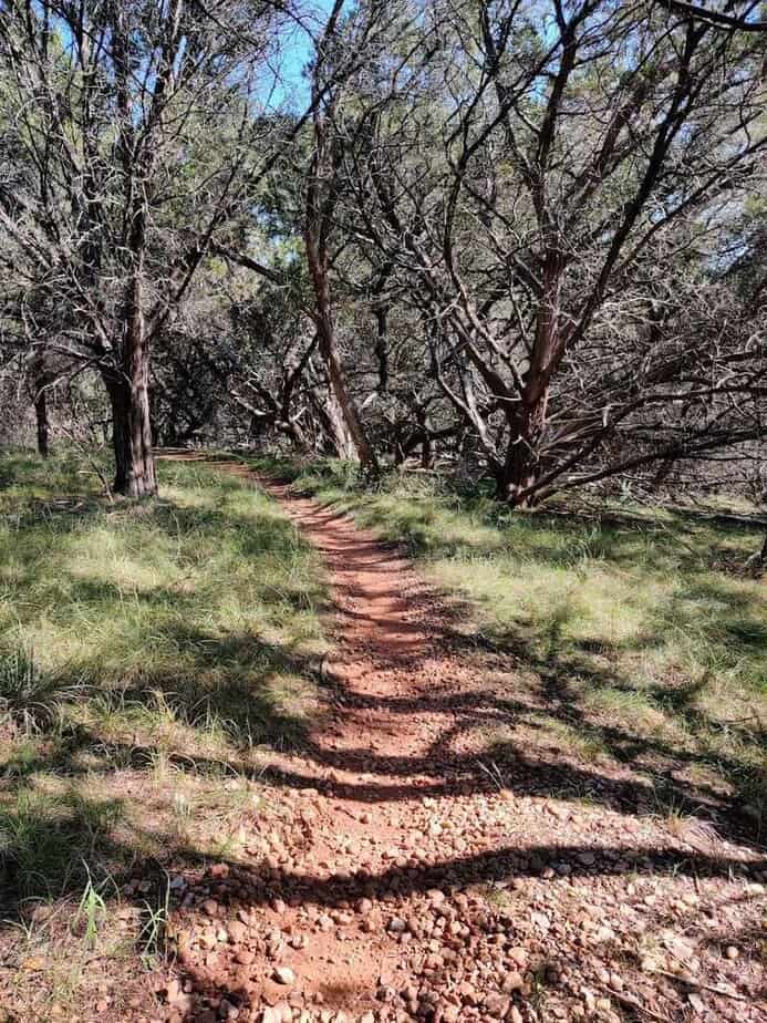 This Texas Park Turns Into a Bluebonnet Paradise With Stunning Lake Views Mountain Biking Loops And Views