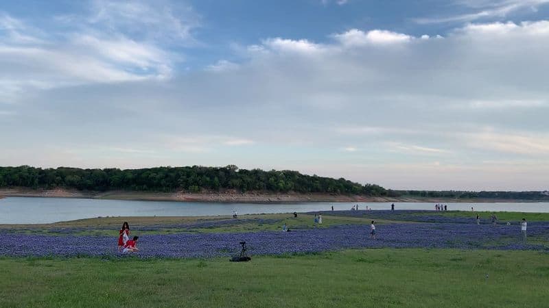 This Texas Park Turns Into a Bluebonnet Paradise With Stunning Lake Views Family Day Trip Planner
