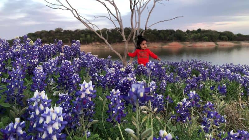 This Texas Park Turns Into a Bluebonnet Paradise With Stunning Lake Views Sunset Photo Playbook