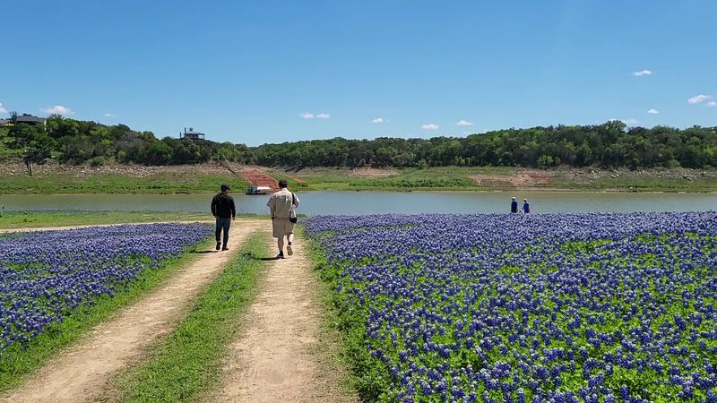 This Texas Park Turns Into a Bluebonnet Paradise With Stunning Lake Views BLUEM Fest And Activities