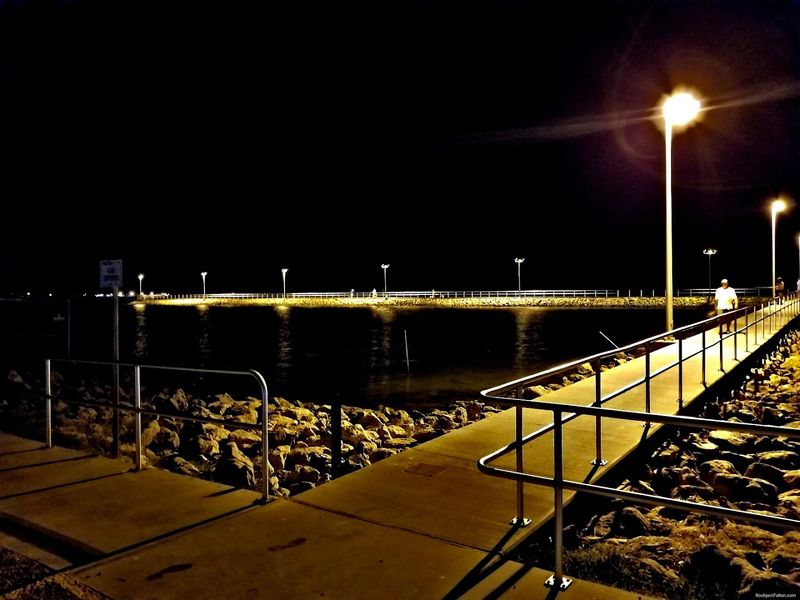 Night Fishing Under The Lights