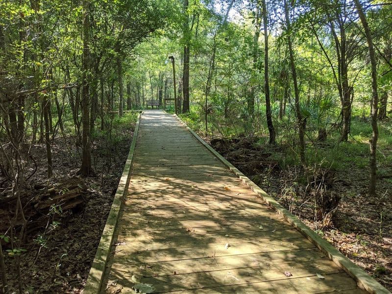 Coastal Wetlands Boardwalks