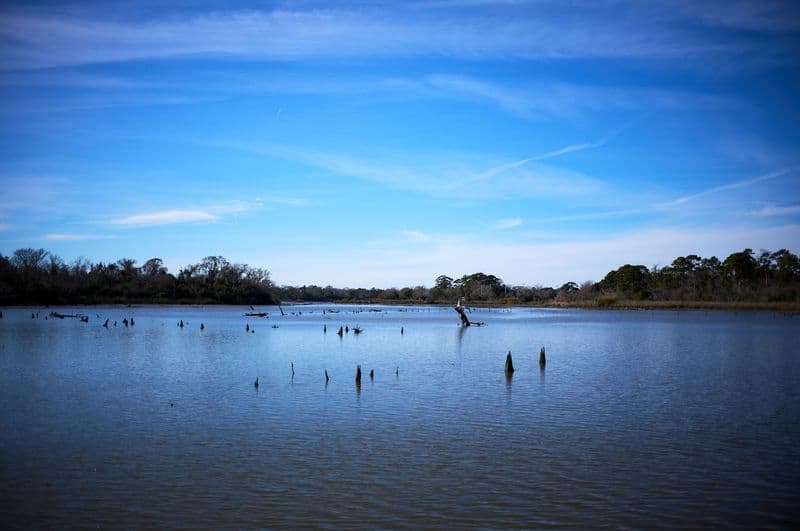Pontoon Boat and Sunset Tours