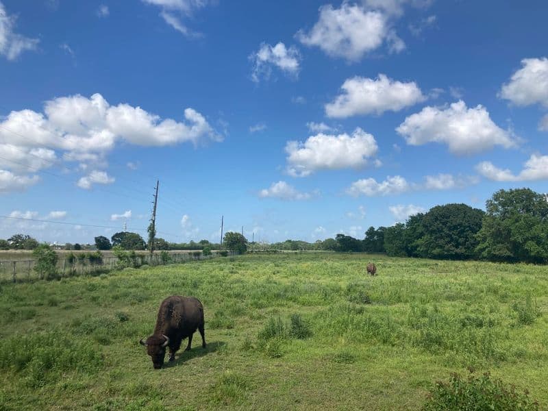 Bison Prairie and Historic Touchpoints