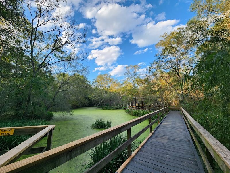 Bayou Vista Trail: Where Water Meets Woods