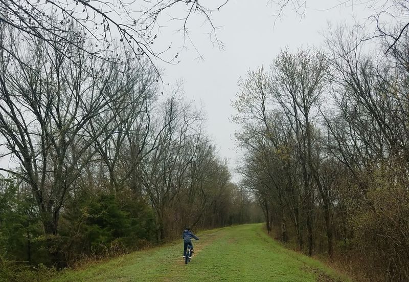 Seasonal Magic: Fall Color to Christmas Lights