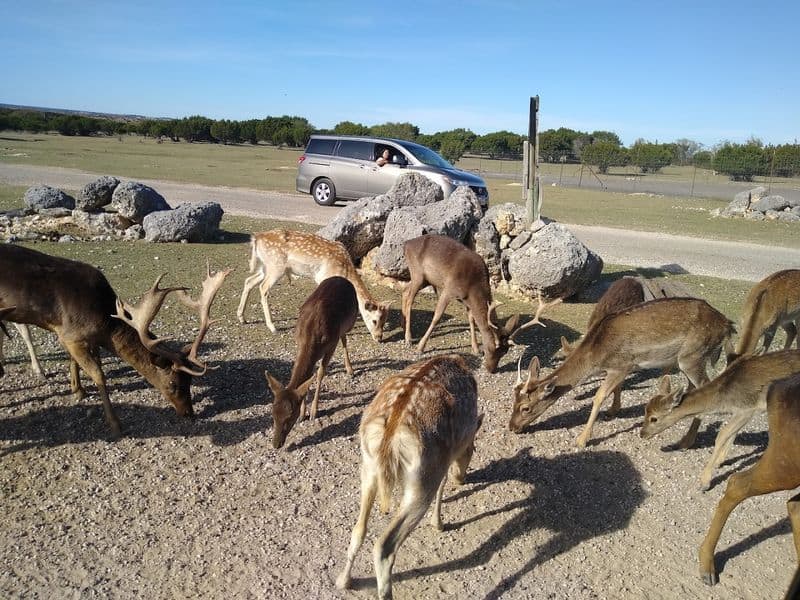 Best Times to Visit and Operating Hours