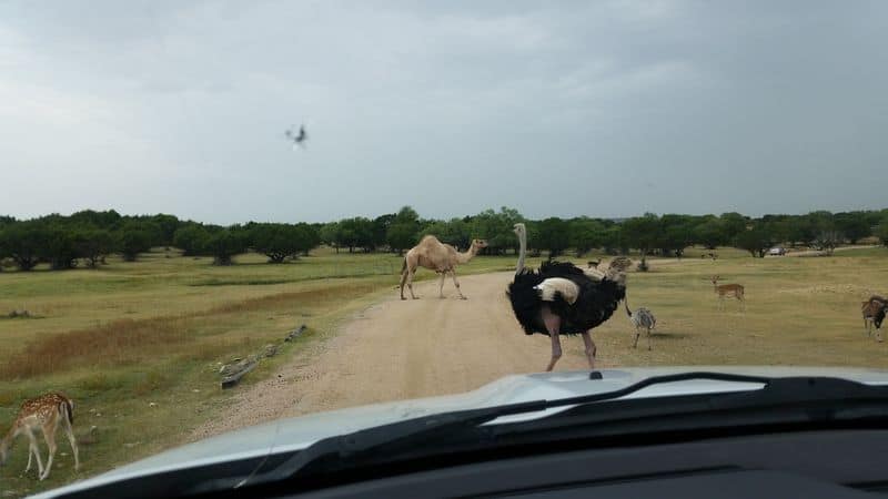 Tickets, Pricing, and Planning Your Route