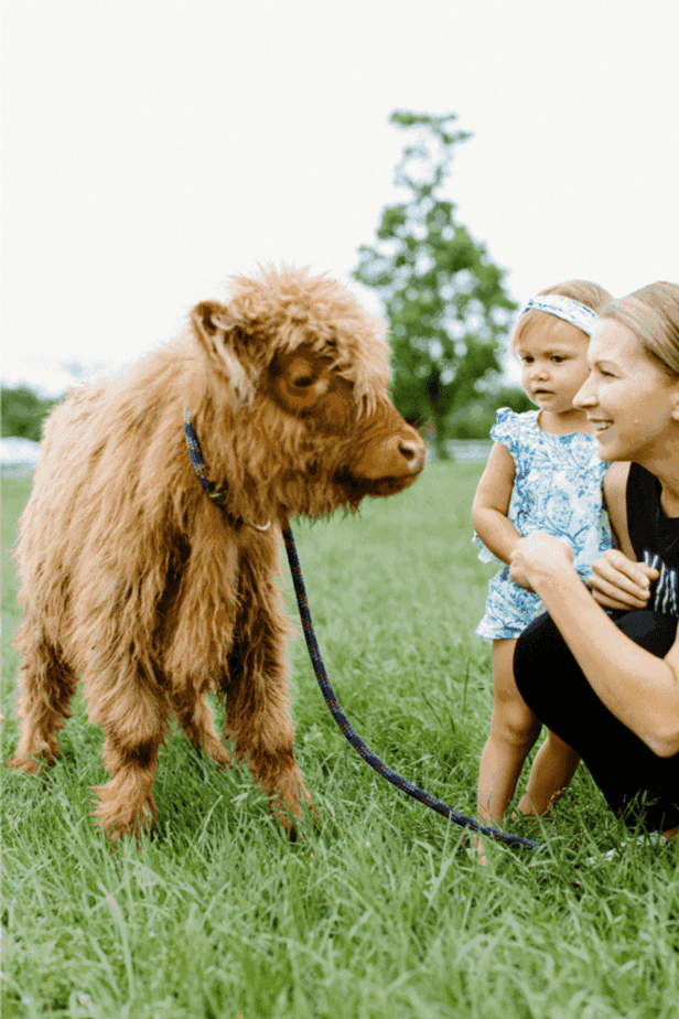 This Texas Ranch Stay Has A Private Beach, Baby Animals & Treehouses Baby Highland Cow Cuddles