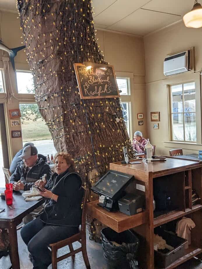 Caring For The Oak and What That Means