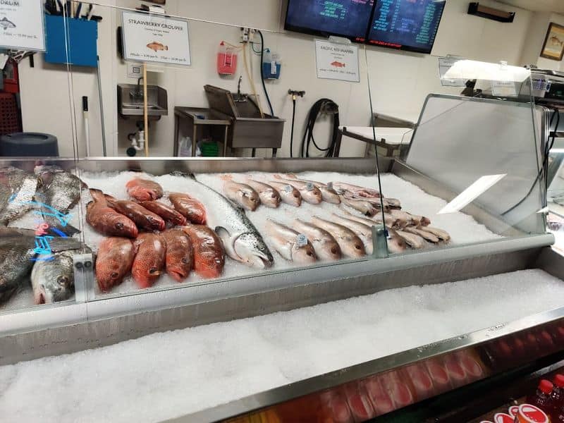 Market Case Fresh Catch