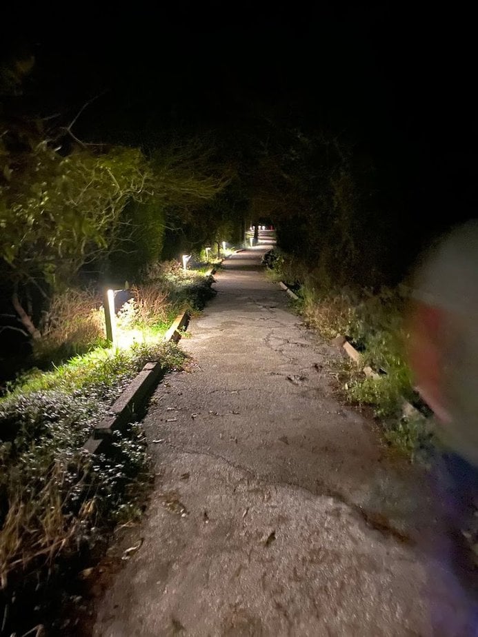 This Texas State Park Gives You a Breathtaking Front-Row Seat to the Cosmos Wildlife, Trails, and Brazos Bend Setting