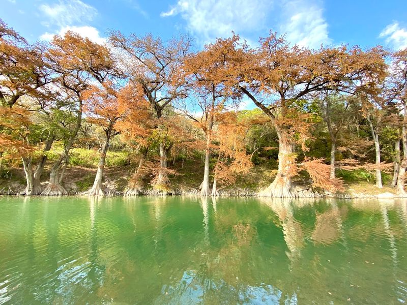 Smart Timing, Safety, And Seasonal Tips