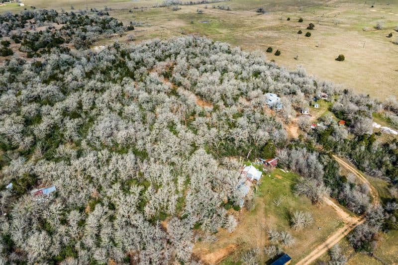 Elgin Christmas Tree Farm