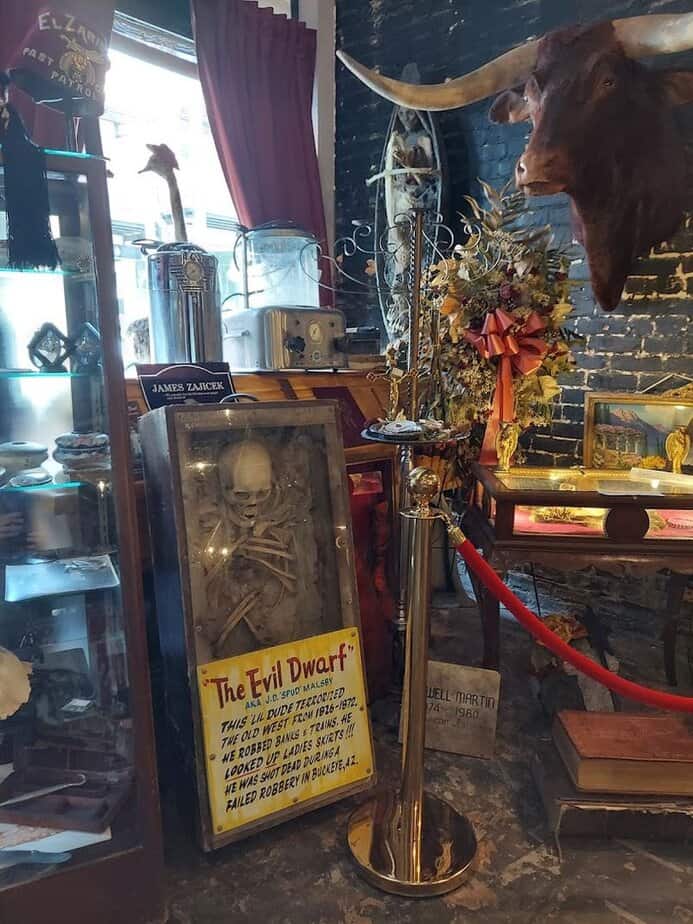 This Tiny Tampa Shop Is Packed With Creepy Curiosities And Seriously Cool Finds Oddball Home Decor That Sparks Conversation