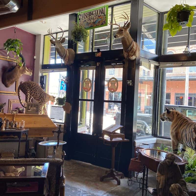 This Tiny Tampa Shop Is Packed With Creepy Curiosities And Seriously Cool Finds Helpful Humans Behind The Counter