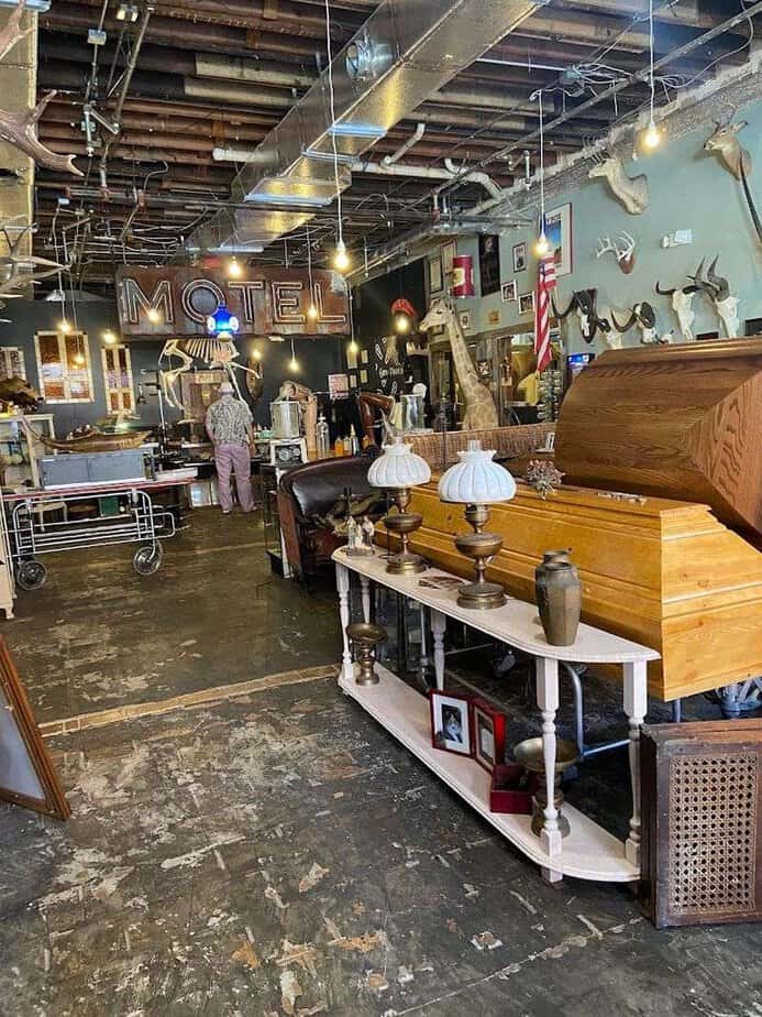 This Tiny Tampa Shop Is Packed With Creepy Curiosities And Seriously Cool Finds Plan Your Visit Like A Pro