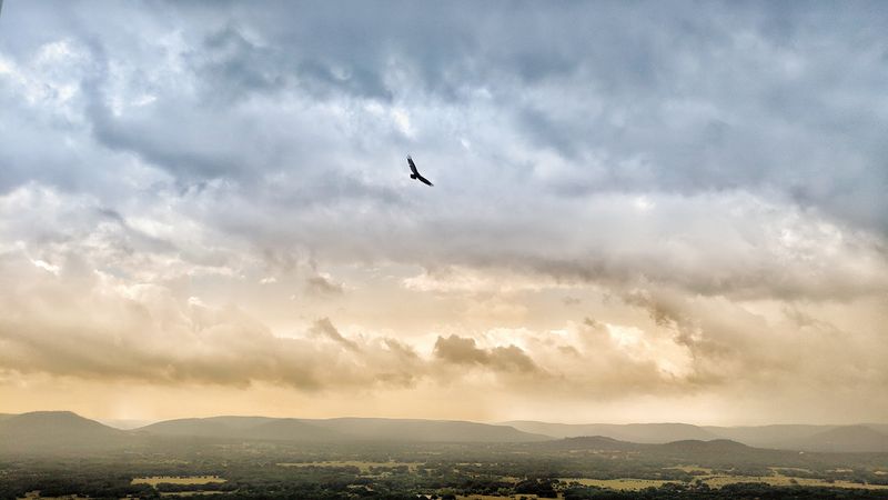 Stargazing Over Sabinal Canyon