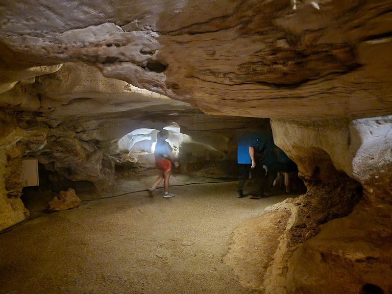 This Underground Texas River Cavern Was Once a Speakeasy Hiding a Notorious Secret Bats, Creatures, and Cave Life Etiquette
