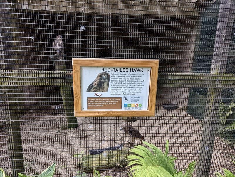 Rehabilitation and Release Stories