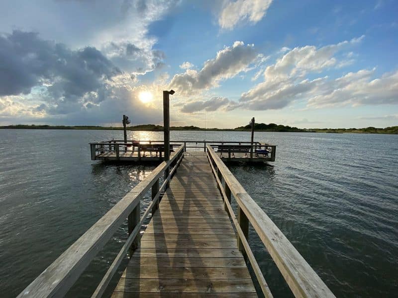 Birding and Wildlife Moments