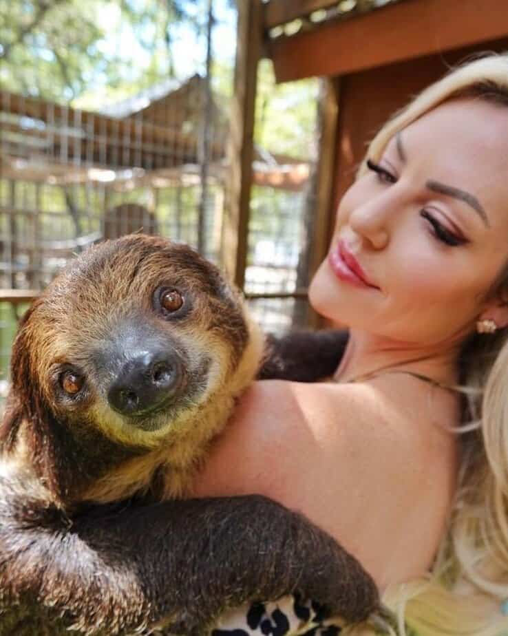 Top Shelf Sloth Encounter