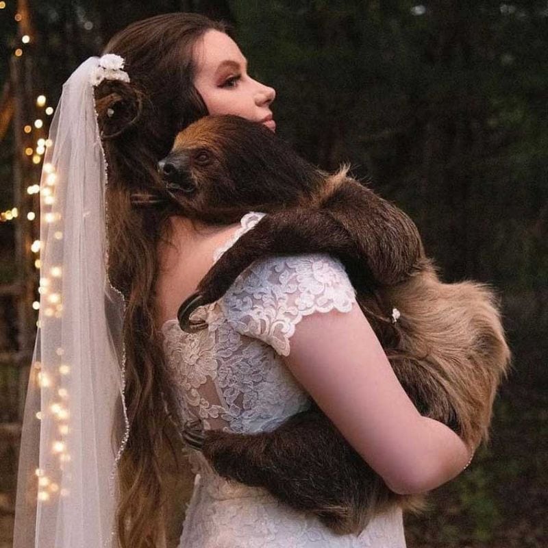 How to Plan Your Visit