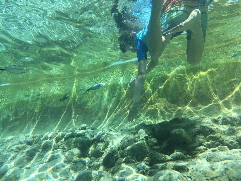 Snorkeling With Desert Fish