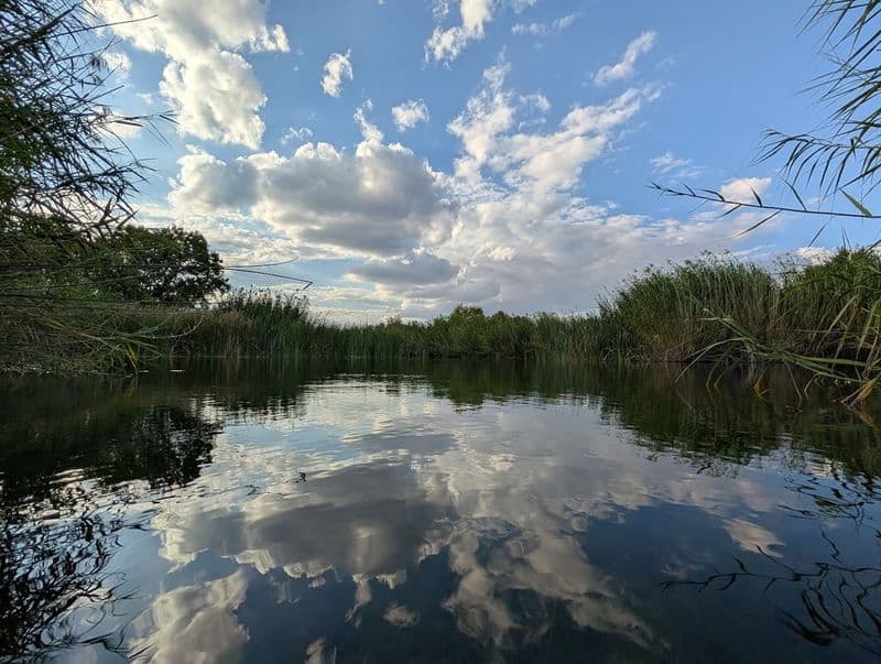 Desert Views and Stargazing