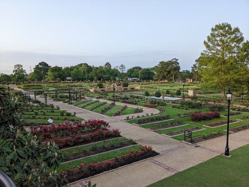 Thousands of Roses Bloom in This Stunning Texas Garden Every Spring Accessibility, Hours, and Logistics