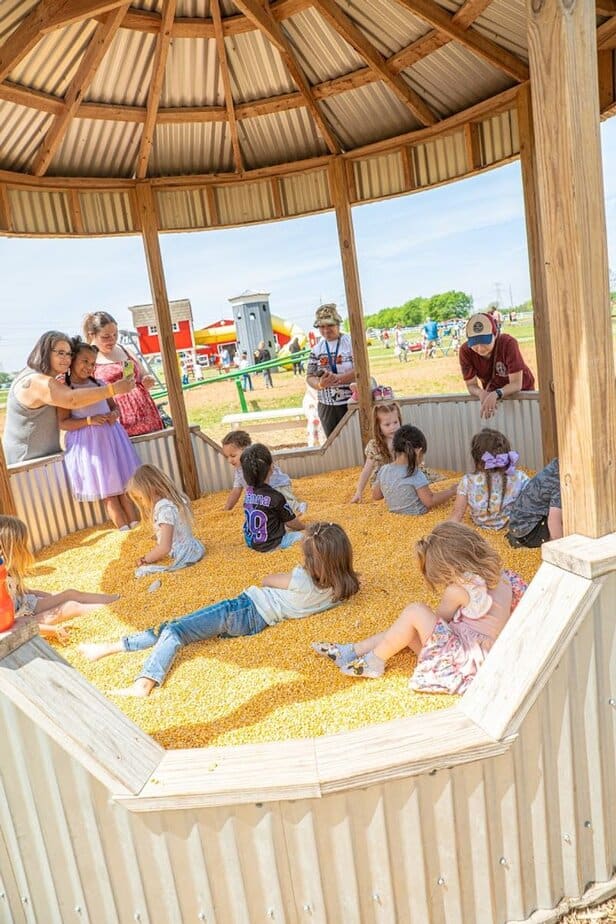 Kid-Friendly Fun Around the Farm