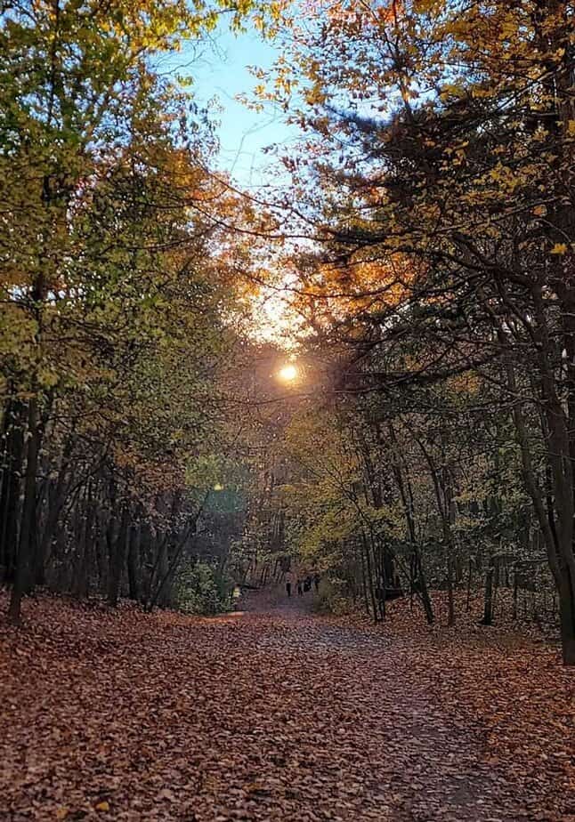 Why this walk works just as well for casual strollers as it does for serious walkers