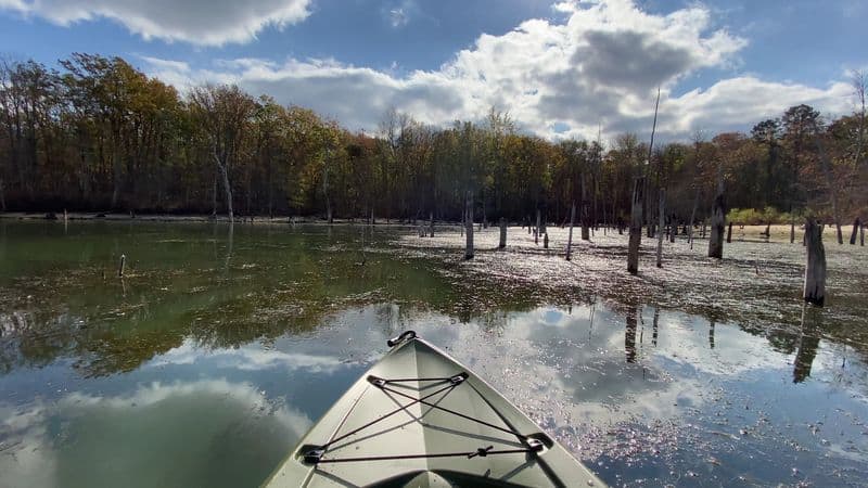 The peaceful details that make the reservoir feel far removed from nearby highways