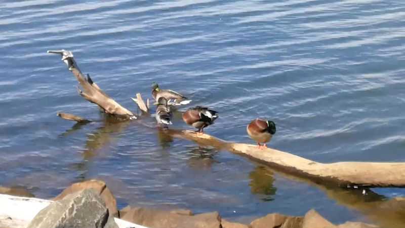 How wildlife and wide-open views turn an ordinary walk into something memorable