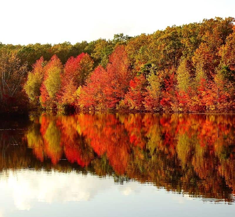 The best times of year to experience this waterside walk at its most beautiful