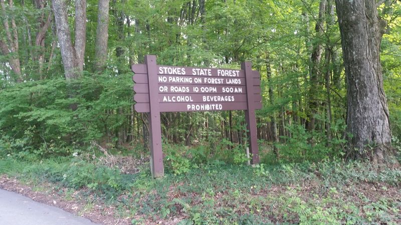 Where to find the roadside spout near Route 206