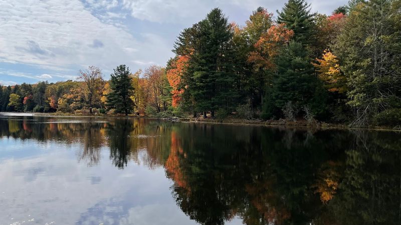 What makes this water taste so shockingly crisp