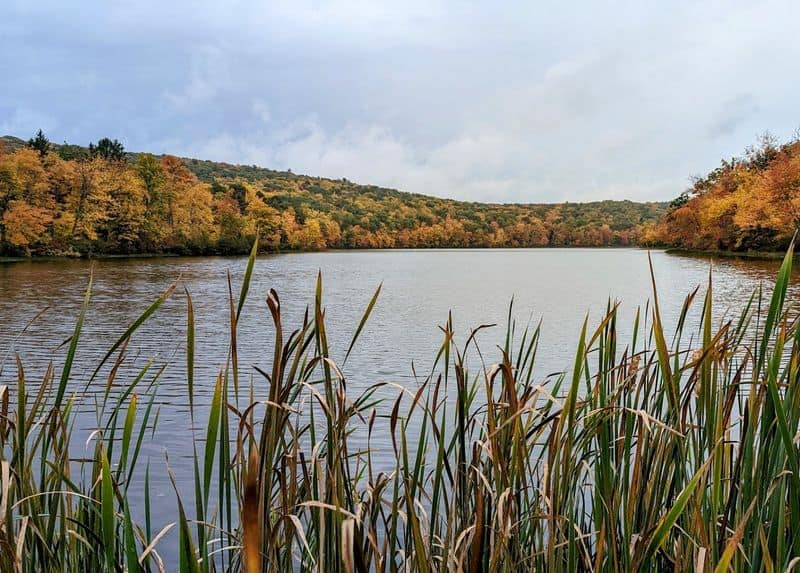 The best seasons and times of day to visit without the wait