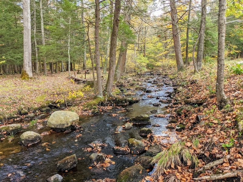The Stokes State Forest spring locals swear by