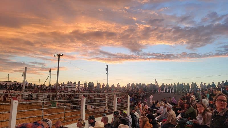 What makes a night at Cowtown feel more authentic than a themed attraction
