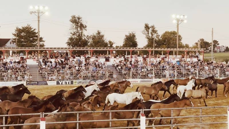 Why this old-school New Jersey attraction still feels fresh today