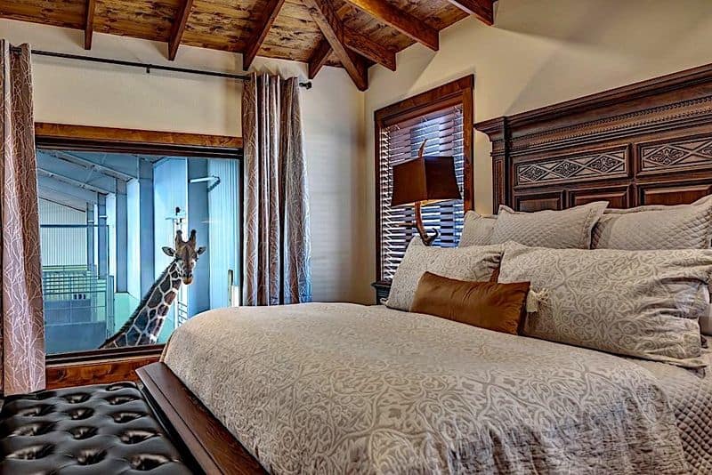 Suites, Villas, and Amenities You Will Actually Use